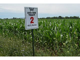 Property photo 98 - LAND AUCTION - 215+/- ACRES OFFERED IN 6 TRACTS IN VAN WERT COUNTY, OHIO